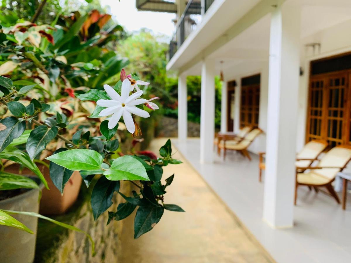 Mount Breeze Ella Hotel Luaran gambar